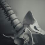 Spinal Touch